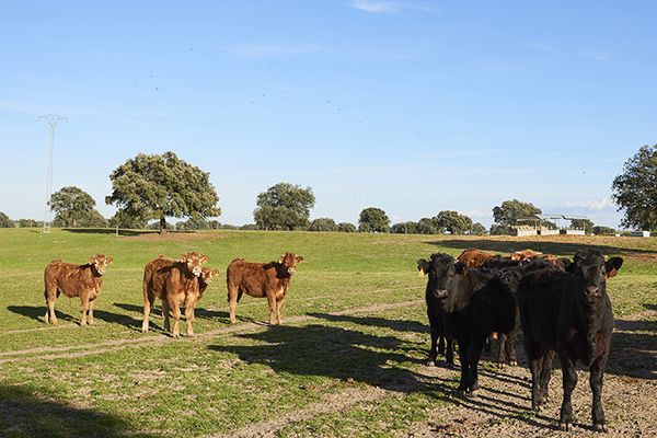 1568969573 luciamphoto19dem 259 1 