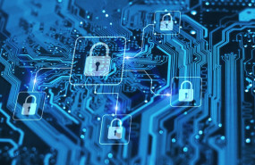 1576232967 panda20202 min