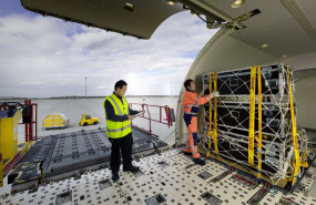 1599035745 dpdhl1015904 8620 ms dhl ne10 006106 small