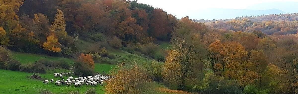 1643920472 bf9537353546898a579cd54df7ef564c7e580ef53