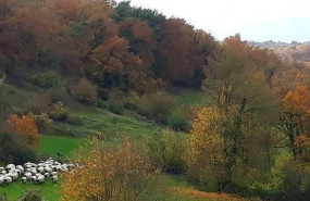 1643920472 bf9537353546898a579cd54df7ef564c7e580ef53