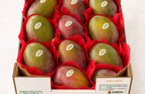 comprar mango osteen online 1