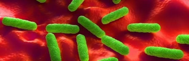 ep bacterias resistentes a antibioticos