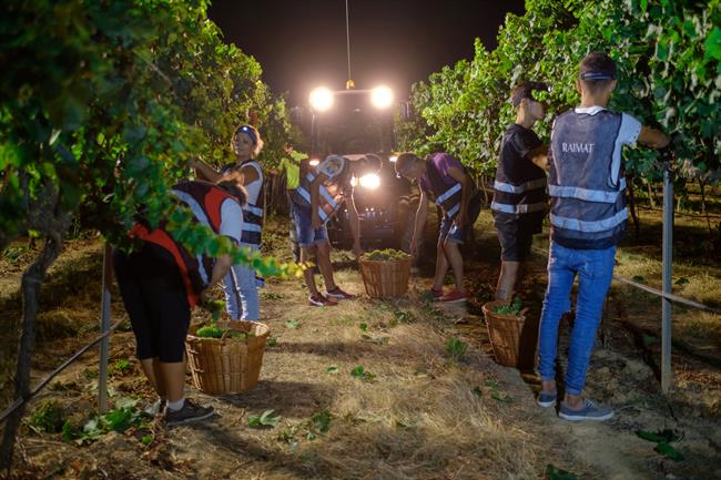 Bodega Raimat | EUROPA PRESS ep bodega raimat