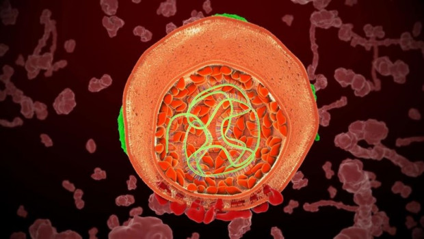ep ciclovidavirusla hepatitis c