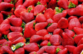 ep fresas 20240315140103