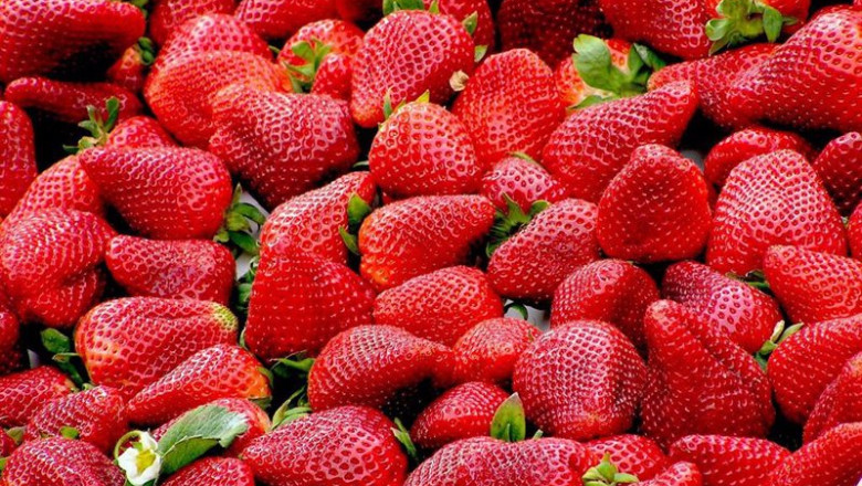 ep fresas 20240315140103 ep fresas 20240315140103