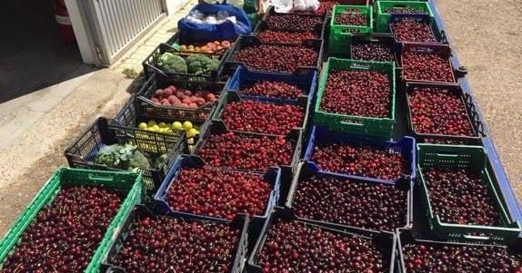 ep fruta intervenida