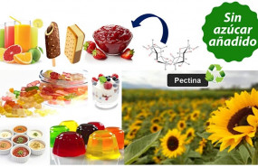 ep gruposociedad uam nuevo ingrediente para la elaboracion de productos sin azucar