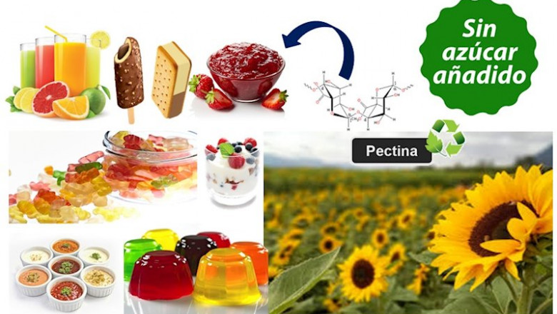 ep gruposociedad uam nuevo ingrediente para la elaboracion de productos sin azucar