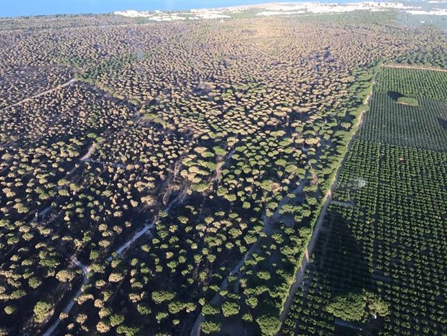 Imagen aérea de la zona afectada por el incendio de Moguer | EUROPA PRESS/MINISTERIO DEL INTERIOR ep imagen aereala zona afectadaincendiomoguer