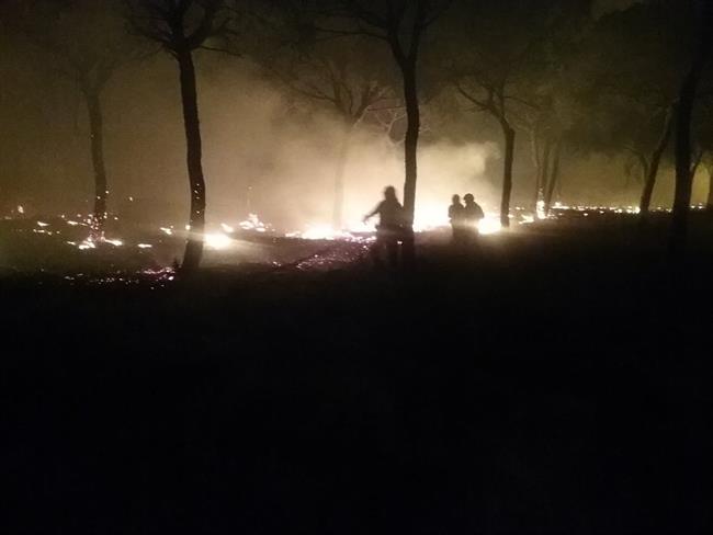 ep incendio forestalmoguer