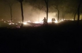 ep incendio forestalmoguer