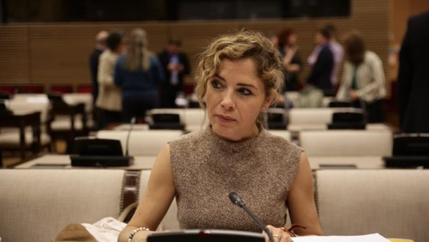ep la diputada de ciudadanos marta martin