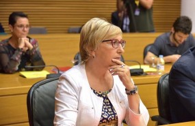 ep la diputada socialista ana barcelo