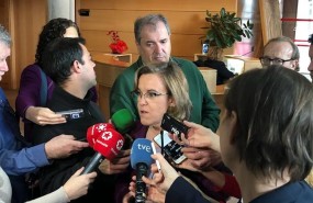 ep la portavozpsoeayuntamientomadrid purificacion causapie