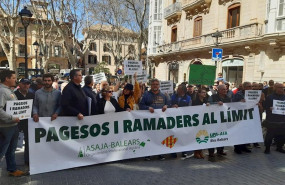 ep unos 250 tractores y alrededor de 500 personas participan en una tractorada en palma