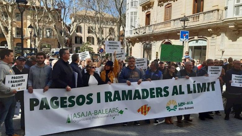 Unos 250 tractores y alrededor de 500 personas participan en una tractorada en Palma. | EUROPA PRESS ep unos 250 tractores y alrededor de 500 personas participan en una tractorada en palma