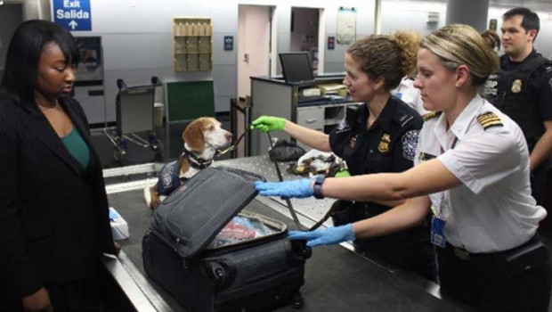 ep viajar con mascota