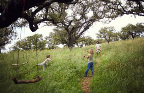 imagen1 1 20251201130824 imagen1 1 20251201130824