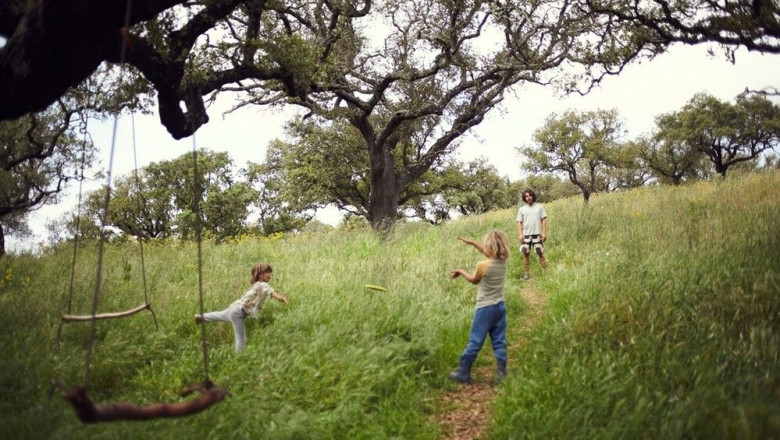 imagen1 1 20251201130824