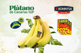 portada platano sabor del ano bonnysa 210x160 copia 1 1 2 