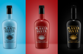 1615396173 plantasanta bodegon 1