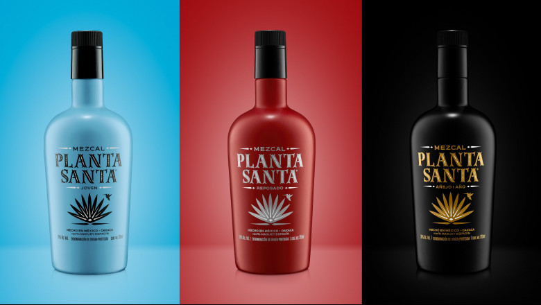 1615396173 plantasanta bodegon 1