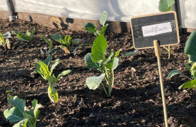 aae597cf b486 4a8f 852b 896f5aa3fb19