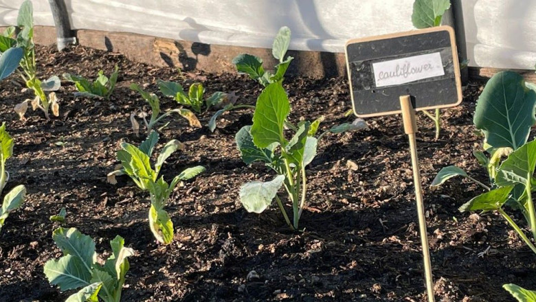 aae597cf b486 4a8f 852b 896f5aa3fb19