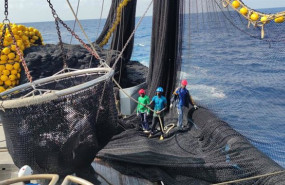 ep archivo   la flota atunera espanola