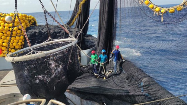 ep archivo   la flota atunera espanola