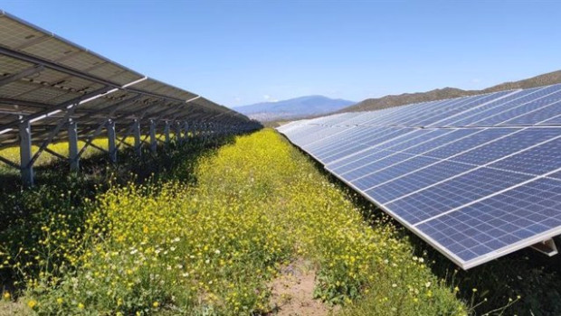 ep archivo   plantas solares de soria y palencia