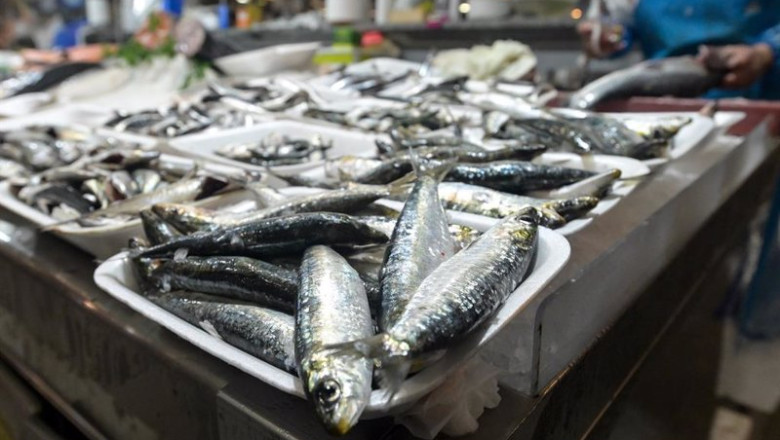 ep archivo sardinas en las pescaderias de la praza de lugo a 22 de junio de 2023 en a coruna ep archivo sardinas en las pescaderias de la praza de lugo a 22 de junio de 2023 en a coruna