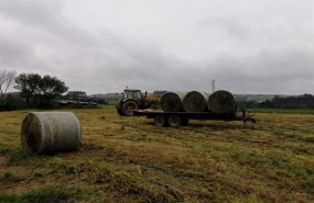 ep archivo   trabajos en el campo rural agricultur pac tractor