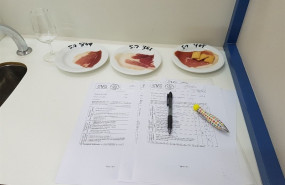 ep catajamonesun trabajo cientifico