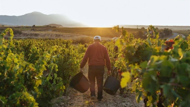 ep el consejo regulador de la doca rioja aprueba las normas de campana para la proxima vendimia