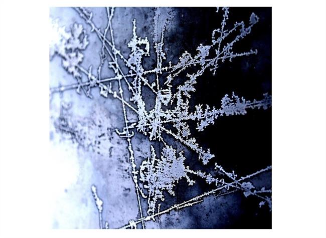 Hielo | WIKIMEDIA ep hielo