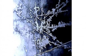 ep hielo