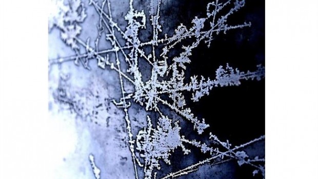 ep hielo
