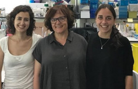 ep investigadores espanoles proponenirak4una nueva diana terapeuticala leucemia linfatica aguda