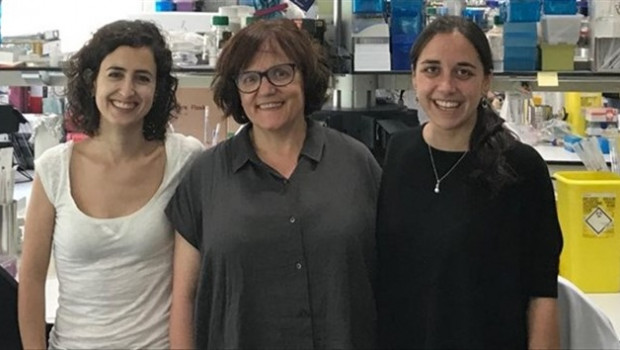 ep investigadores espanoles proponenirak4una nueva diana terapeuticala leucemia linfatica aguda