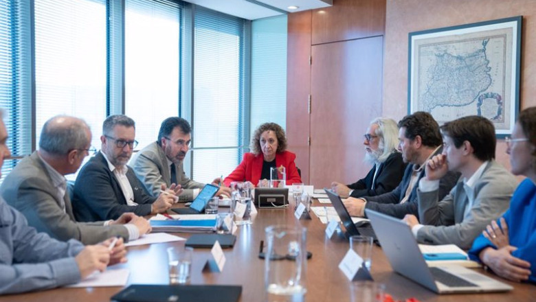 ep la consellera de territorio de la generalitat ester capella preside la mesa de coordinacion de
