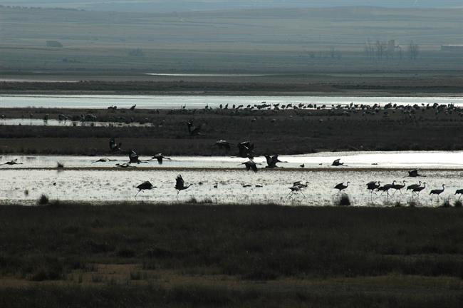 LAGUNA DE GALLOCANTA | DGA ep lagunagallocanta