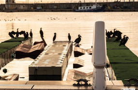 ep marinas de espana impulsa la innovacion tecnologica y la sostenibilidad de los puertos deportivos