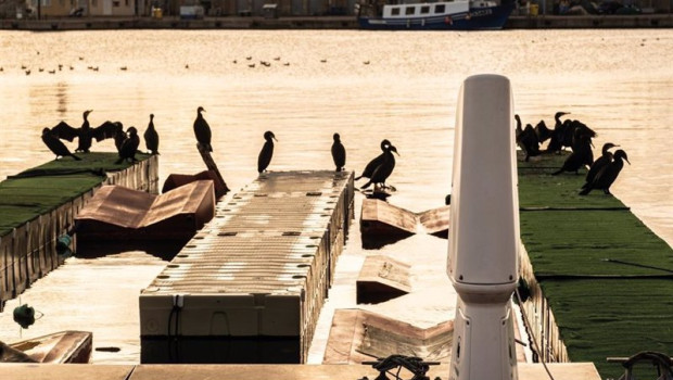 ep marinas de espana impulsa la innovacion tecnologica y la sostenibilidad de los puertos deportivos ep marinas de espana impulsa la innovacion tecnologica y la sostenibilidad de los puertos deportivos