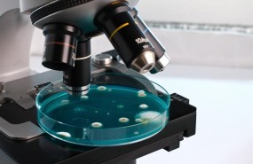 ep microscopio 20180717140304