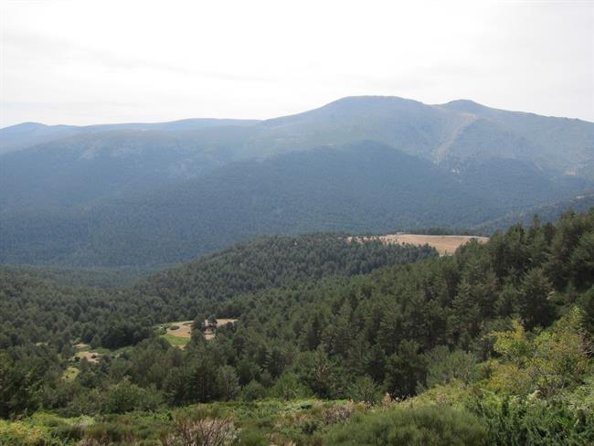 Parque Nacional de la Sierra de Guadarrama | EUROPA PRESS ep parque nacionalla sierraguadarrama