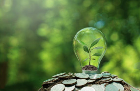 ep pequeno arbol plantado en bombilla sobre moneda con fondo de naturaleza
