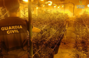 ep plantacionmarihuana descubiertala guardia civil